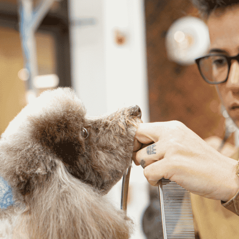 Joni-Grooming-Blog-2